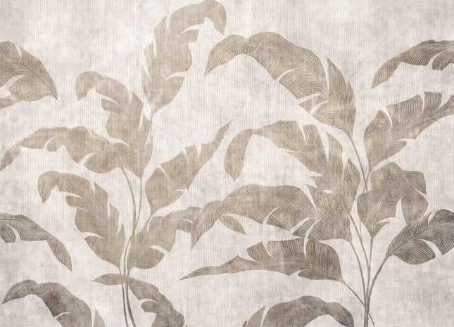 Leaves Shadow B00467B