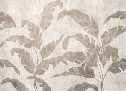 Leaves Shadow B00467N
