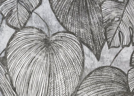 Monstera 26939-HTM