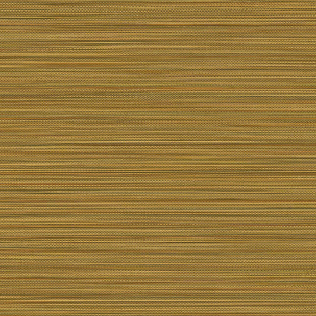 Muster von Cozumel 50539