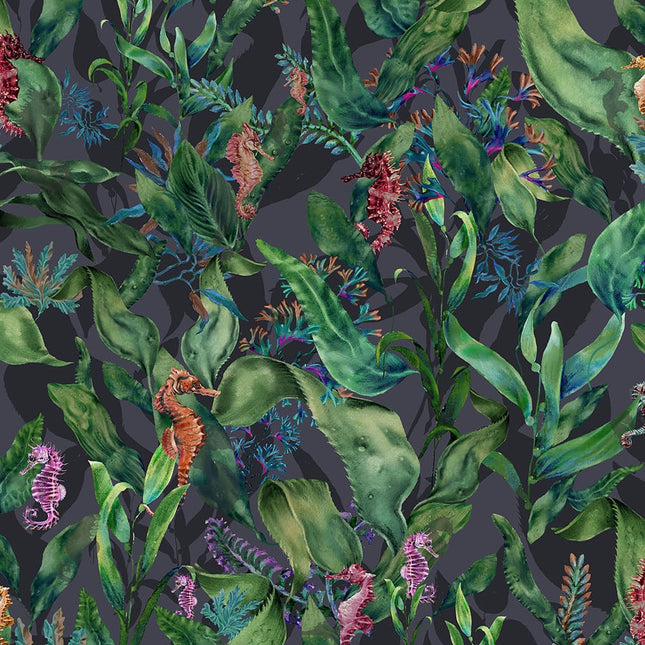 Muster Seahorse Mangrove Noir BMHD002/08B