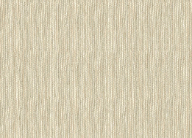 Rafia BA26010