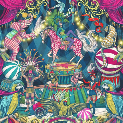 Muster Funfair Denim & Cerise BMCF003/06A