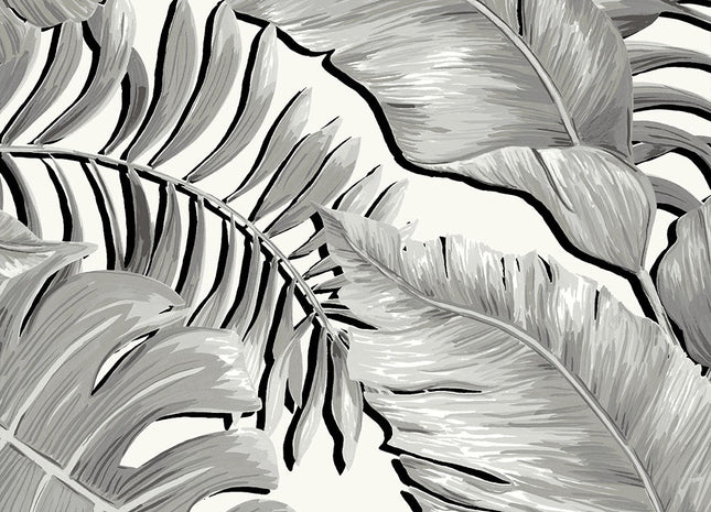 Banana Leaves Black & White BMTD001/05A