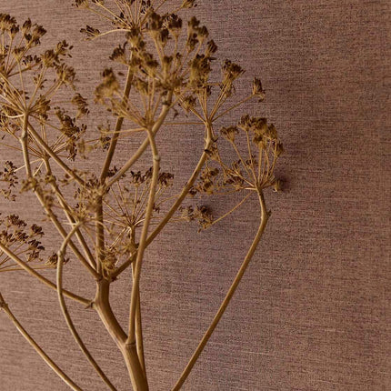 Rivièra Maison 350592