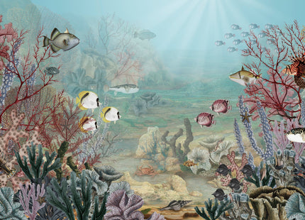 Coral Creatures 2007
