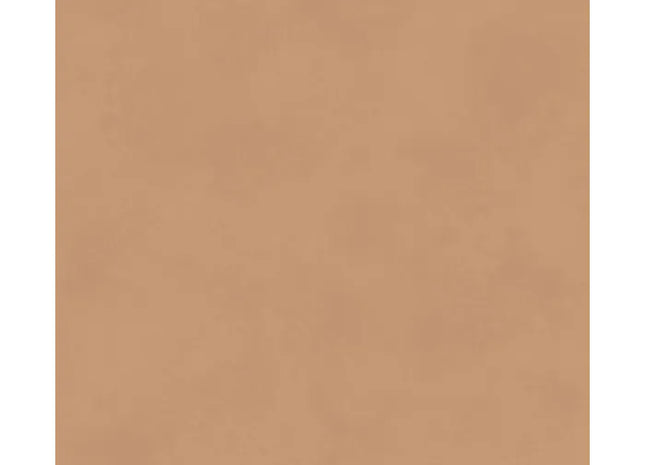 Color Camel