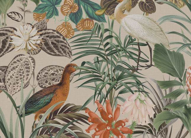 Birds of Paradise BOP502