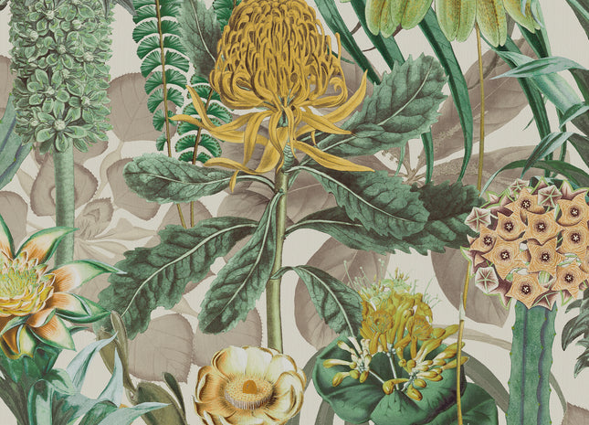 Birds of Paradise BOP601