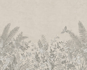 Collection image for: Birds of Paradise