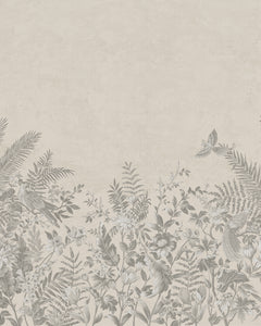 Collection image for: Birds of Paradise