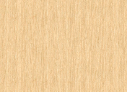 PLAIN BR24003
