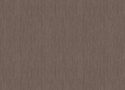 PLAIN BR24004