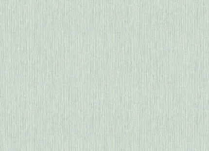 PLAIN BR24007