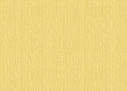 PLAIN BR24009