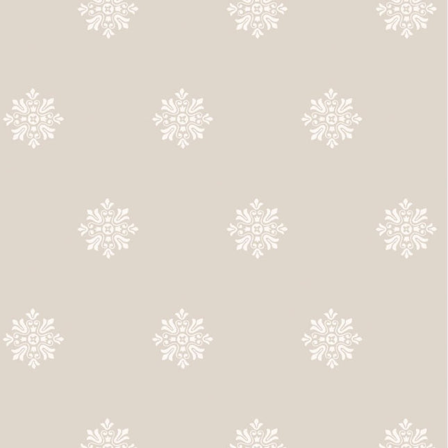 Brockhampton Star 5-20