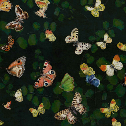 Magic butterflies 9500050