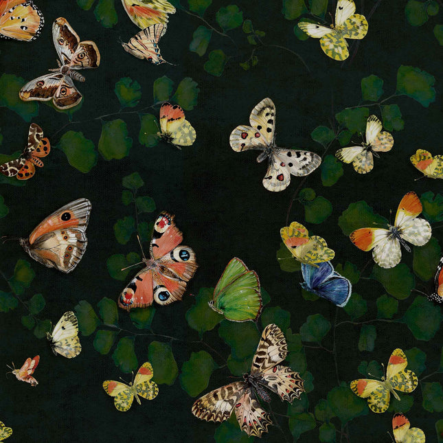 Magic butterflies 9500050