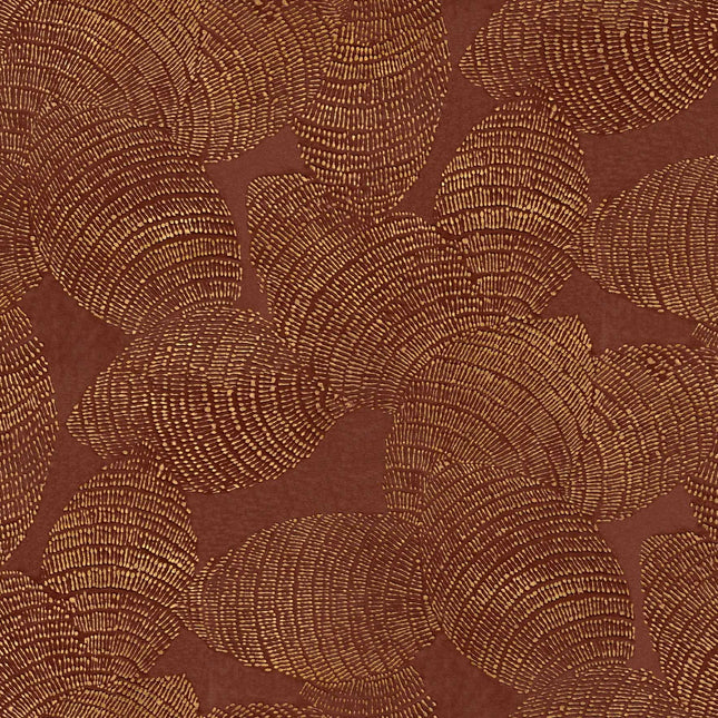 Muster Coordonné B00407B