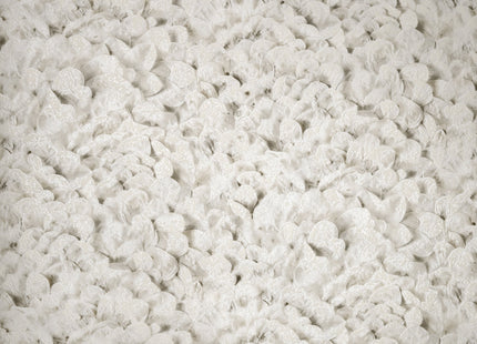 Salt,  Arco Sesame