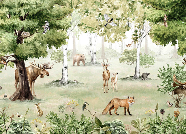 Woodland Wonders 2096