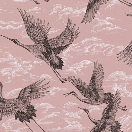 Imperial Ibis B00135