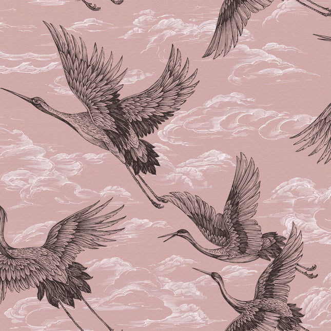 Imperial Ibis B00135