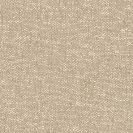 Muster von Festival 333531