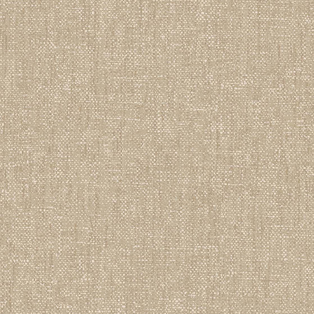 Muster von Festival 333531