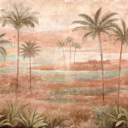 Draa Palms B00453