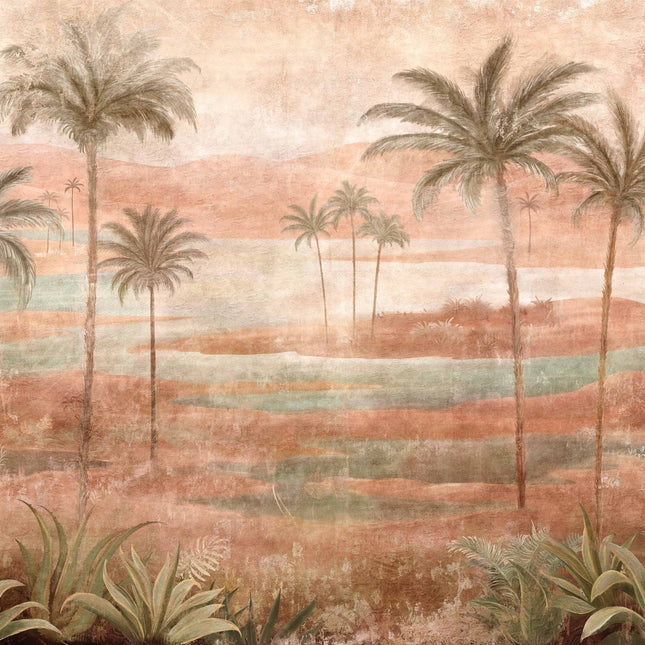 Draa Palms B00453