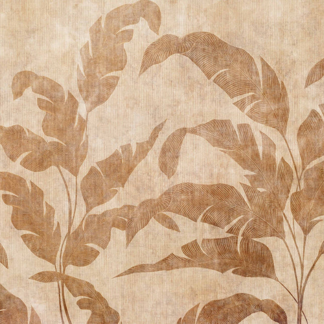 Leaves Shadow B00466