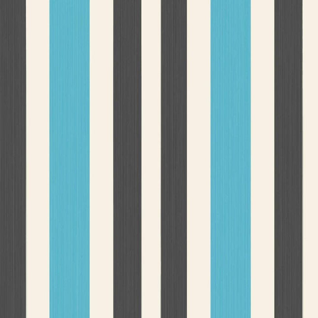 Chromatic Stripe 42-05