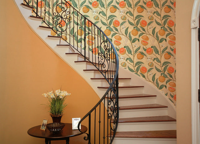 CITRUS 76724-4_ECO