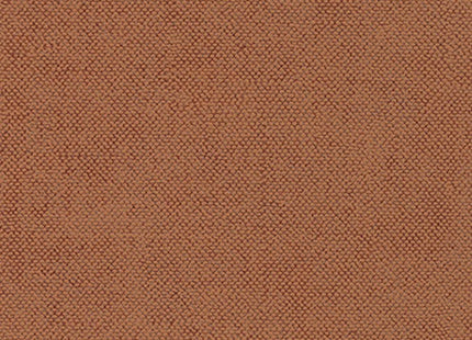 Lys Mango CLR017