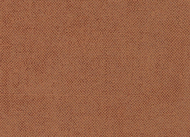 Lys Mango CLR017