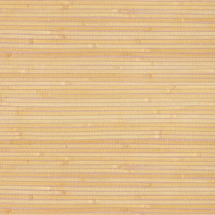 Muster von Natural Wallcoverings III 303548