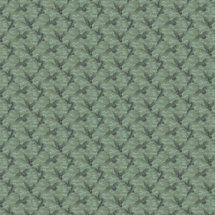 Imperial Ibis B00137