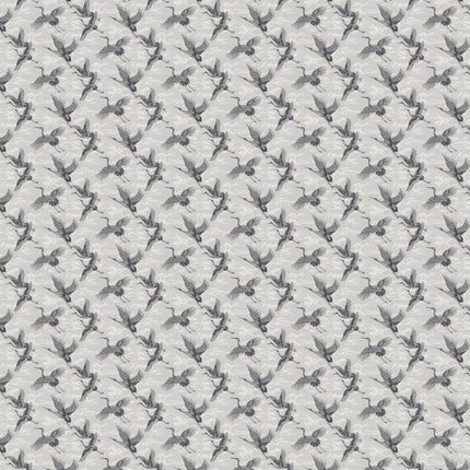 Imperial Ibis B00134