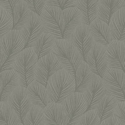 Muster Pine Tree 4704