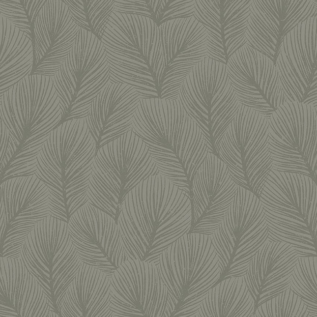 Muster Pine Tree 4704