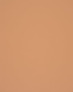 Muster von Delta 1111.31