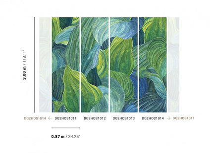 Hosta Aqua DG2HOS1011
