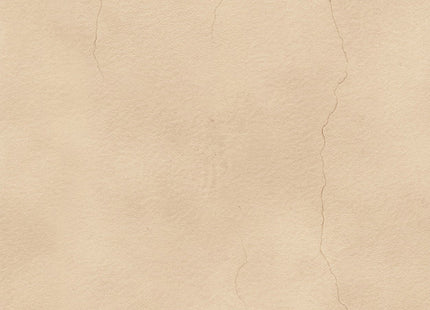 Alcove Oyster DGALC1033-260