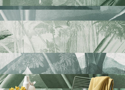 Alocasia Shade DGALO1023