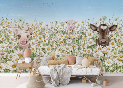 Farm Animals