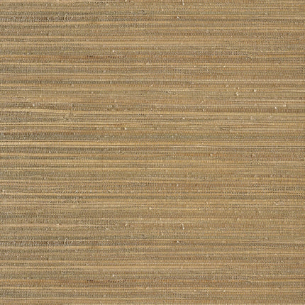 Muster von Natural Wallcoverings III 303527