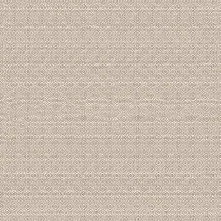 Sisal A00517