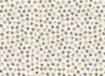 Flores 3001