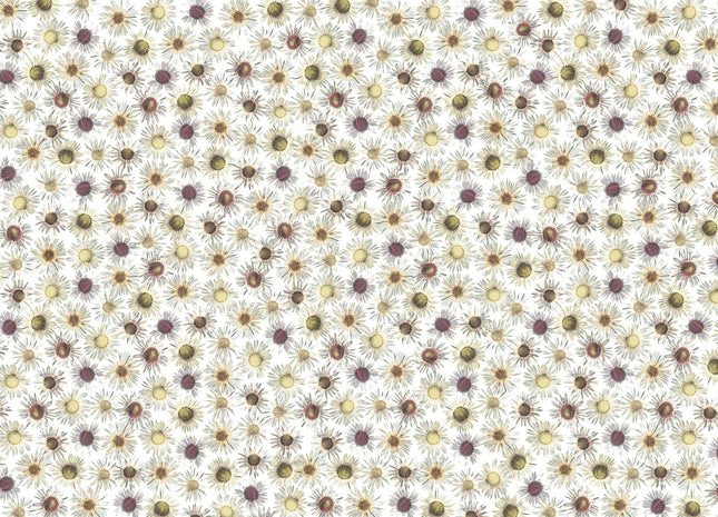 Flores 3001